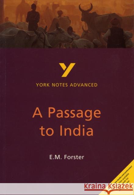 E. M. Forster 'A Passage to India': everything you need to catch up, study and prepare for 2025 assessments and 2026 exams