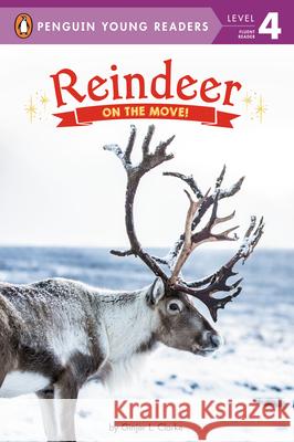 Reindeer: On the Move!