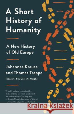 A Short History of Humanity: A New History of Old Europe