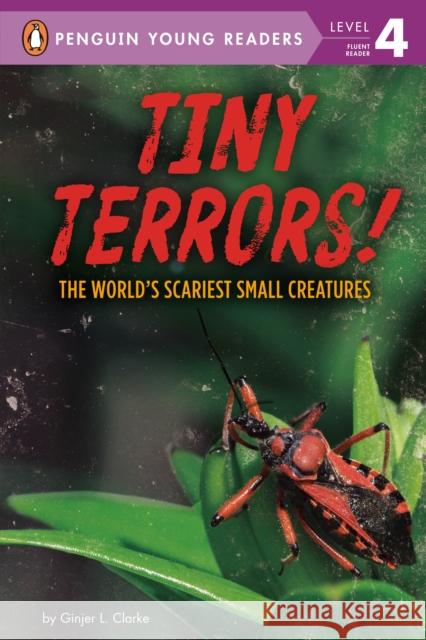 Tiny Terrors!: The World's Scariest Small Creatures