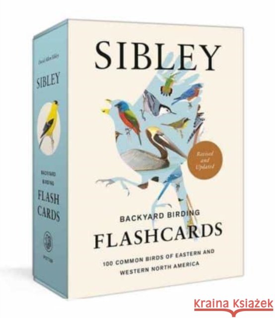 Sibley Backyard Birding Flashcards, Revised and Updated: 100 Common Birds of Eastern and Western North America