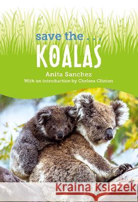 Save The... Koalas