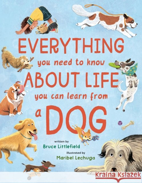 Everything You Need to Know About Life You Can Learn from a Dog