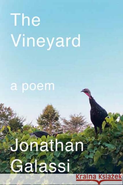 The Vineyard: A Poem