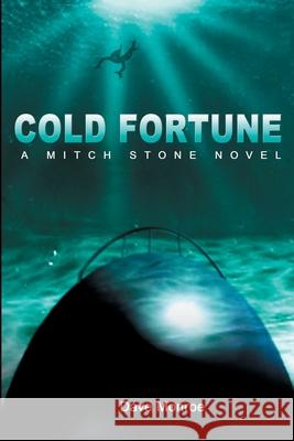 Cold Fortune: A Mitch Stone Novel