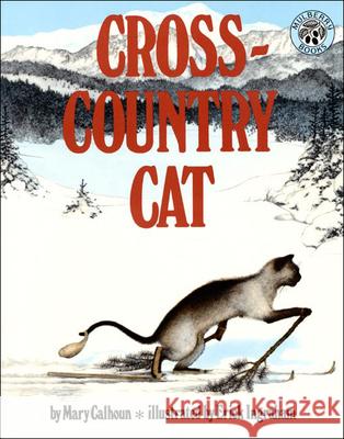 Cross-Country Cat