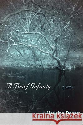 A Brief Infinity: Poems