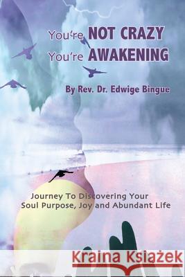 You're Not Crazy, You're Awakening: Journey To Discovering Your Soul Purpose, Joy And Abundant Life