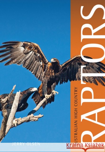 Australian High Country Raptors