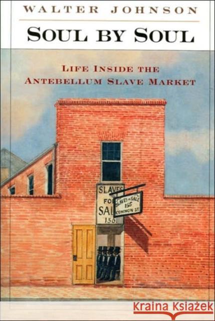 Soul by Soul: Life Inside the Antebellum Slave Market