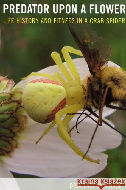 Predator Upon a Flower: Life History and Fitness in a Crab Spider