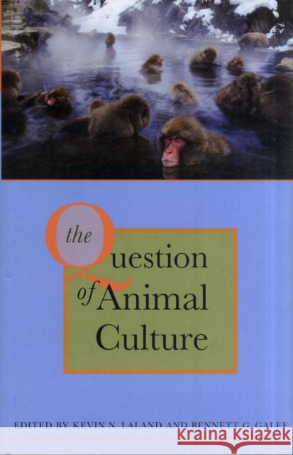 Question of Animal Culture