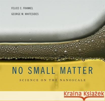 No Small Matter: Science on the Nanoscale