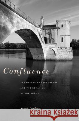 Confluence: The Nature of Technology and the Remaking of the Rhône