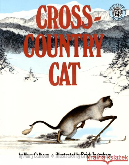 Cross-Country Cat