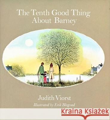 The Tenth Good Thing about Barney