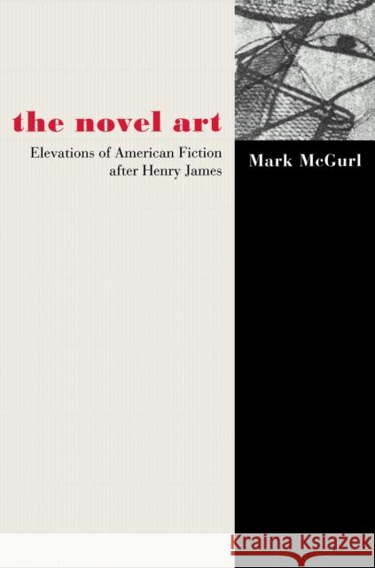 The Novel Art: Elevations of American Fiction After Henry James