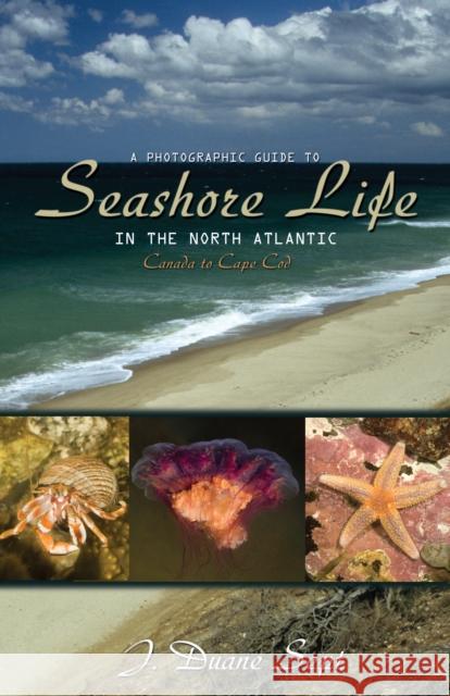 A Photographic Guide to Seashore Life in the North Atlantic: Canada to Cape Cod