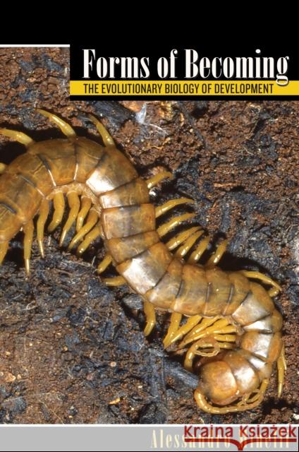 Forms of Becoming: The Evolutionary Biology of Development
