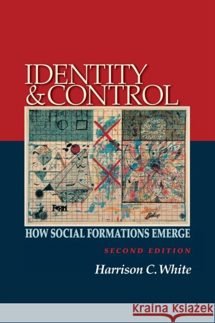 Identity and Control: How Social Formations Emerge - Second Edition