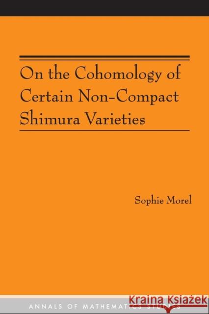 On the Cohomology of Certain Non-Compact Shimura Varieties