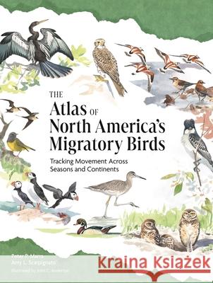 The Atlas of North America's Migratory Birds: Tracking Movement Across the Seasons