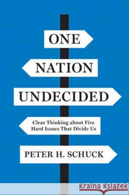 One Nation Undecided: Clear Thinking about Five Hard Issues That Divide Us