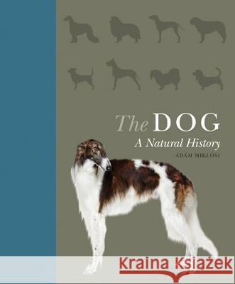 The Dog: A Natural History