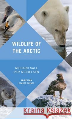 Wildlife of the Arctic