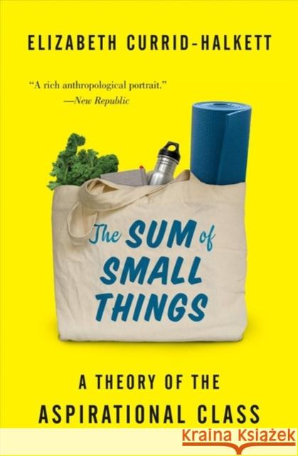 The Sum of Small Things: A Theory of the Aspirational Class