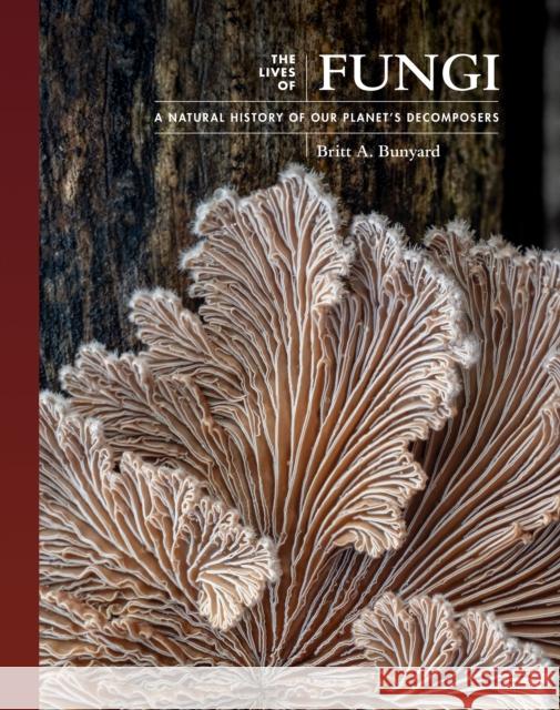 The Lives of Fungi: A Natural History of Our Planet's Decomposers