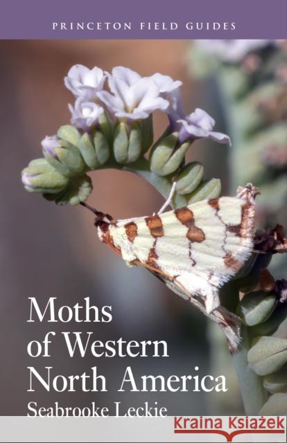 Moths of Western North America