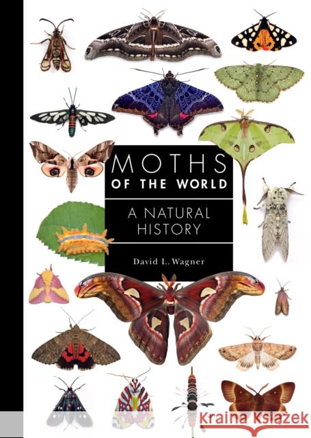 Moths of the World: A Natural History