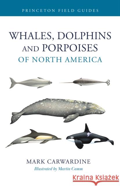 Whales, Dolphins, and Porpoises of North America