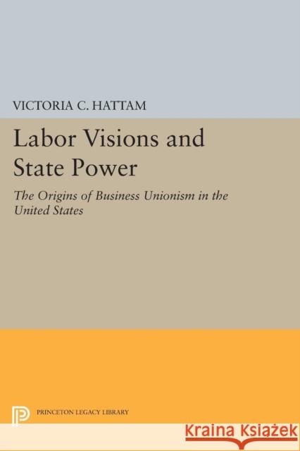 Labor Visions and State Power: The Origins of Business Unionism in the United States