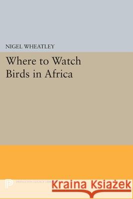 Where to Watch Birds in Africa