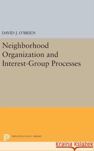 Neighborhood Organization and Interest-Group Processes