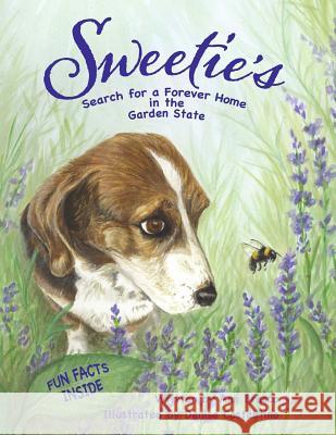 Sweetie's Search for a Forever Home in the Garden State