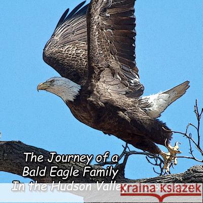The Journey of a Bald Eagle Family: In the Hudson Valley