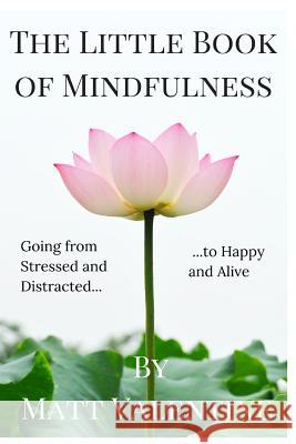 The Little Book of Mindfulness