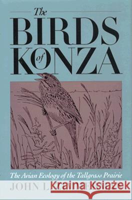 Birds of Konza