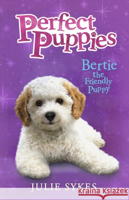 Bertie the Friendly Puppy