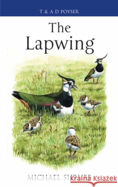 The Lapwing
