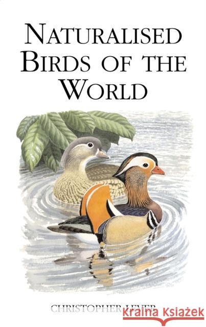 Naturalised Birds of the World