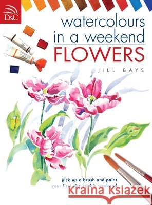 WATERCOLOURS IN A WEEKEND