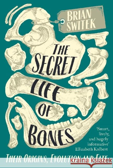 The Secret Life of Bones: Their Origins, Evolution and Fate