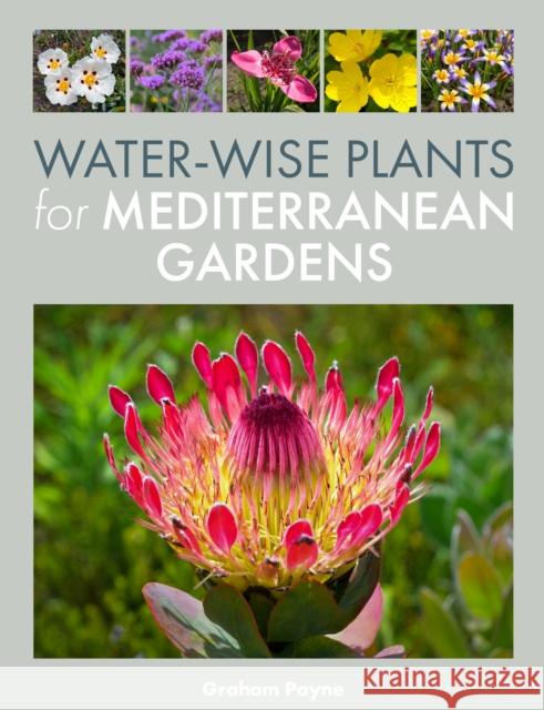 Water-Wise Plants for Mediterranean Gardens