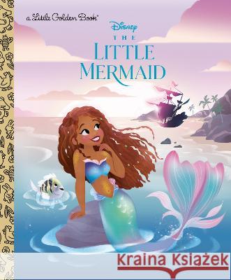 The Little Mermaid (Disney the Little Mermaid)