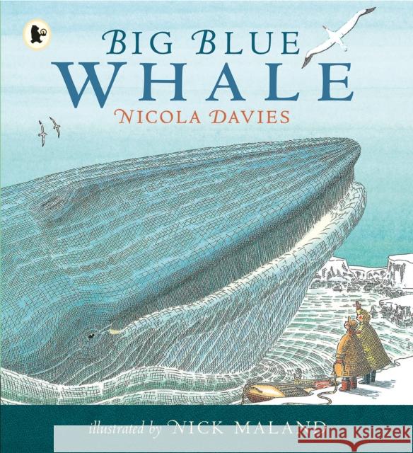 Big Blue Whale: Award-winning picture book about the blue whale,  with a gentle story and fascinating facts