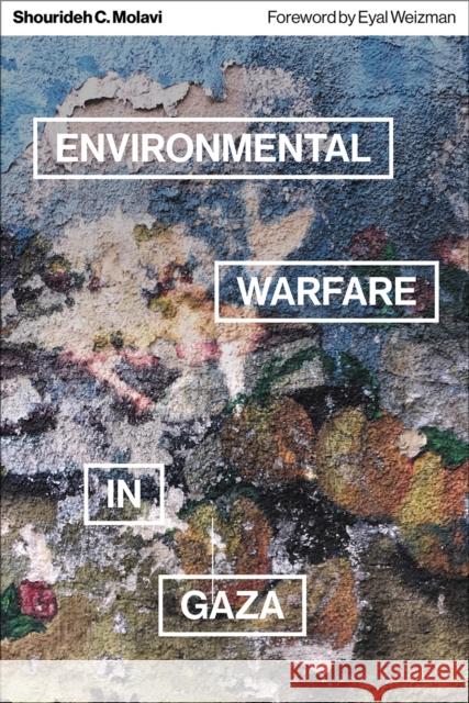 Environmental Warfare in Gaza: Colonial Violence and New Landscapes of Resistance